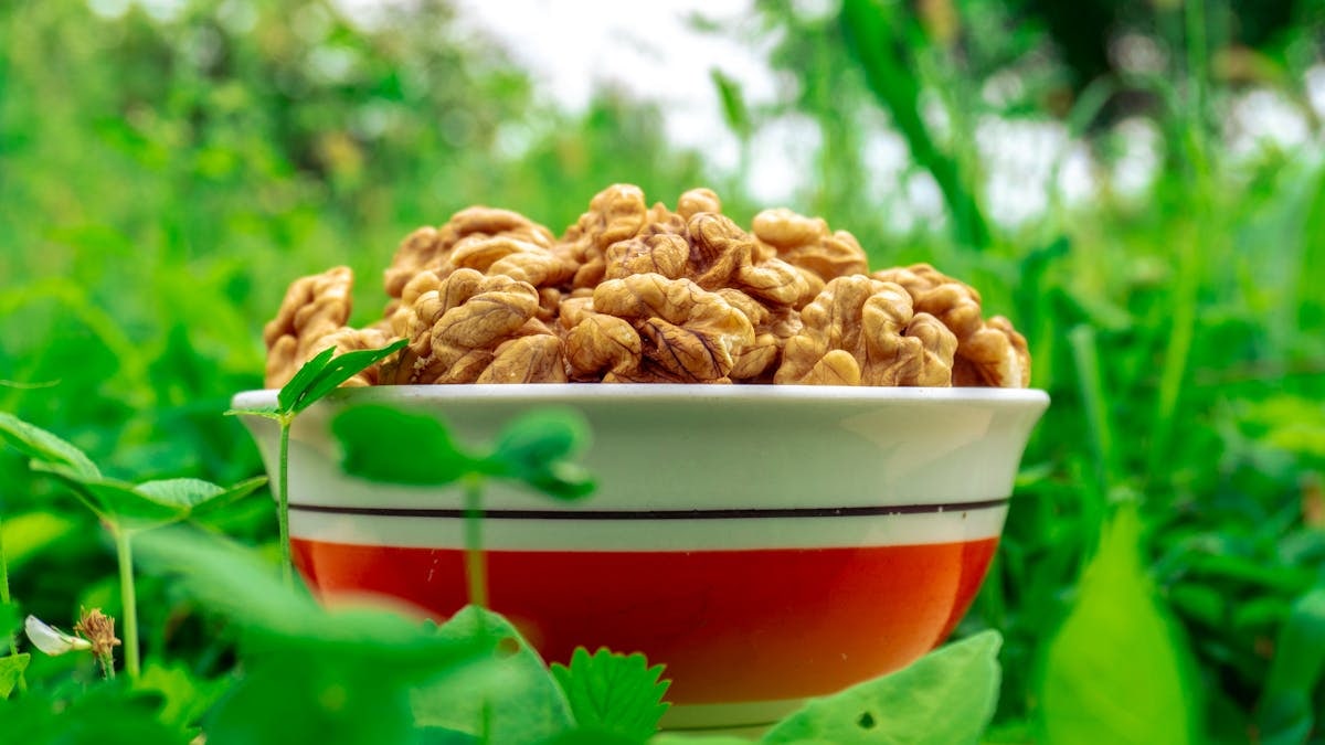 10 Essential Nutrients for a Healthy Life